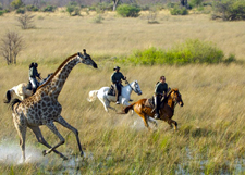 Botswana-Okavango Delta-Okavango Delta Macatoo Safari